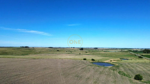 Venta De Campo De 150 Hectáreas En Curva Matonte Florida