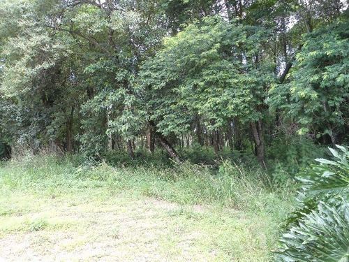 Imagem 17 de 30 de Vendo Área Na Estiva Em Louveira Com 150 Mil M². - Ar00006 - 2586566