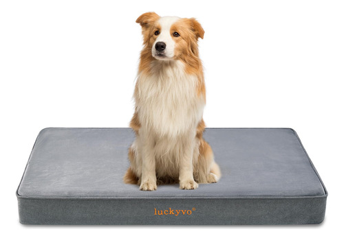 Luckyvo Cama Grande Para Perros Grandes, Cama Ortopédica Pa