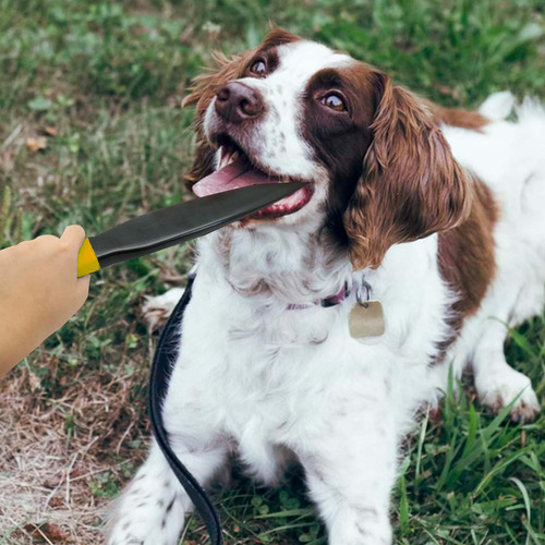 Juguete Masticable Para Perros, Palo Interactivo Amarillo