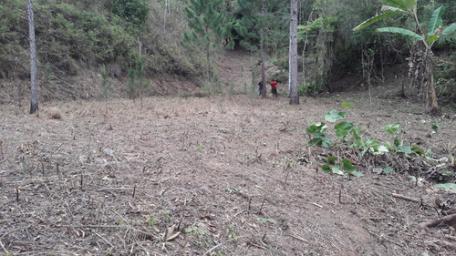Terreno Paineiras, Lumiar , Nova Friburgo