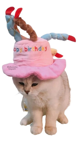 Gorro Cumpleaños Feliz Mascotas Perro Gato