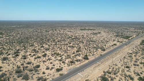 Km 43, El Mezquite De Don Dominguez