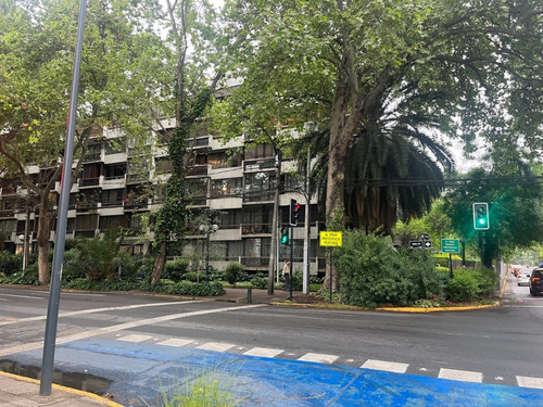Lindo Depto. Remodelado/ 2 D+ 2 B+ E / Lyon / Carlos AntĂșnez