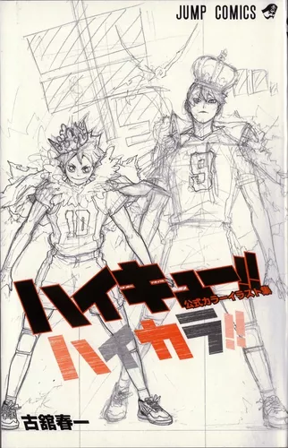 Haikyuu!! Manga