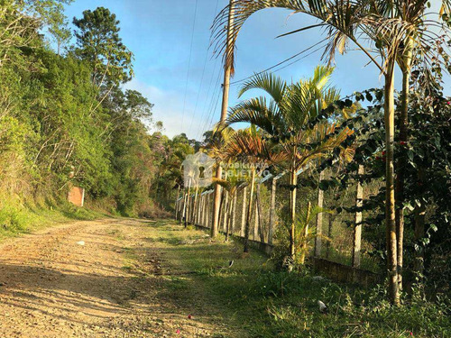 Imagem 5 de 8 de Chácara 3 Dorms, São Lourenço Da Serra - R$ 400 Mil, Cod: 3872 - V3872
