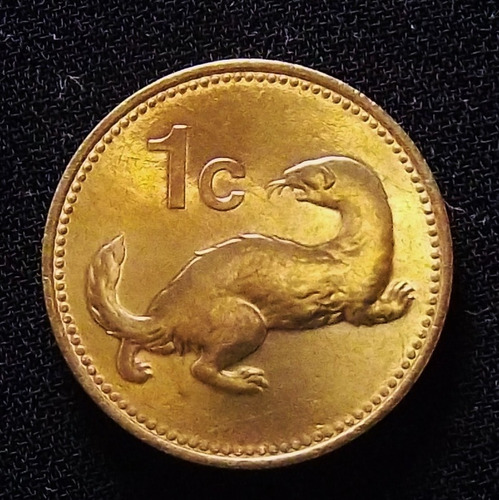 Malta 1 Cent 1998 Sin Circular Km 93 Fauna Comadreja