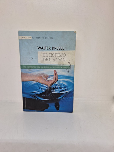 El Espejo Del Alma - Walter Dresel - Sudamericana - Usado 