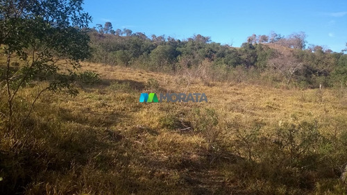 Imagem 7 de 7 de Fazenda - Zona Rural - Ref: 2717 - V-mta2717