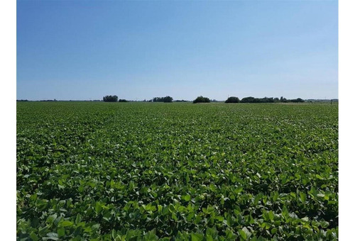 Imagen 2 de 10 de Campo En Ramallo 12 Has
