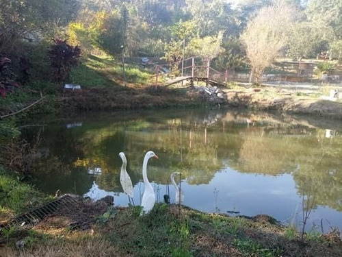 Imagem 18 de 19 de Chácara À Venda Em Pedra Bela/sp - 0071