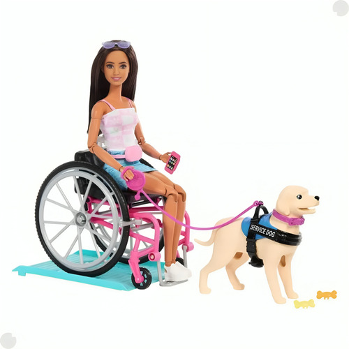 Boneca Barbie Cadeira De Rodas Com Cão Guia Hjy85 Mattel