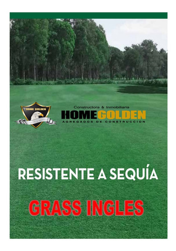 Semilla De Grass Ingles-ringles - Campos De Golfs-deportivos