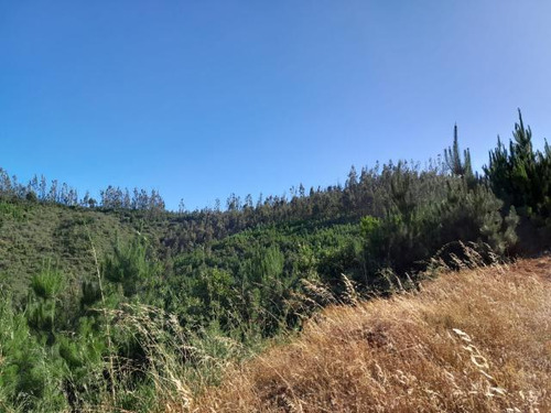 Sitio ¡oferta!/quebrada La Queseria