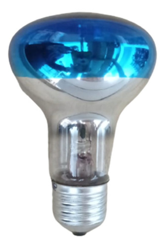 Lampada Spot Refletora Azul R63 13v 40w E27 Decorativa 4pç
