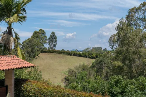 Lote En Venta En Sajonia. Cod V8842