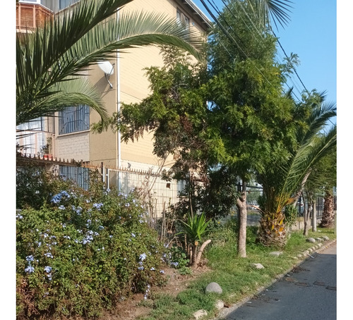 Excelente Ubicación Departamento En Arriendo Enea Pudahuel