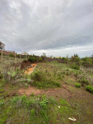 Terreno En Los Pinos Con Vista (89248)