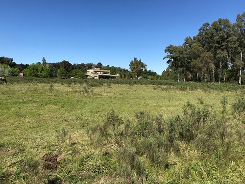Imagen 6 de 12 de Terreno En Venta En San Antonio De Areco