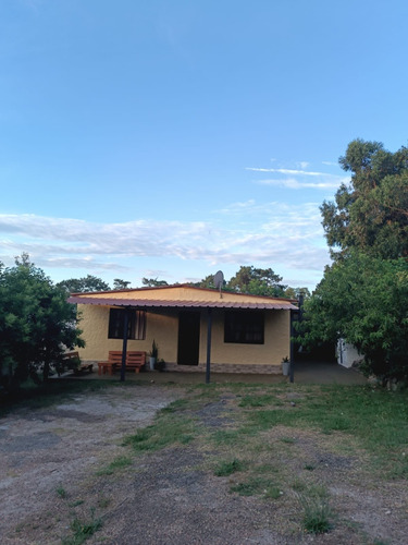 Alquilo Casa En Cuchilla Alta 