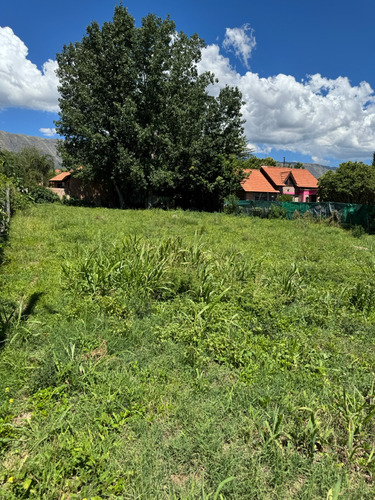 Terreno - Merlo