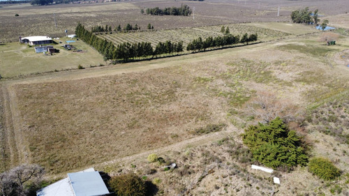 Venta De Chacra En Paraje Soca, Canelones Ie2 - 1691 (ref: Iea-1691)