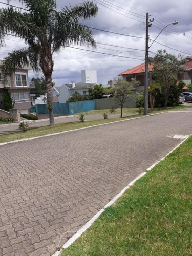 Imagem 5 de 30 de Terreno - Te00024 - 69351236