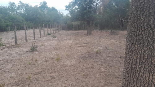 Vendo Finca En Tolloche (recibo Permutas)