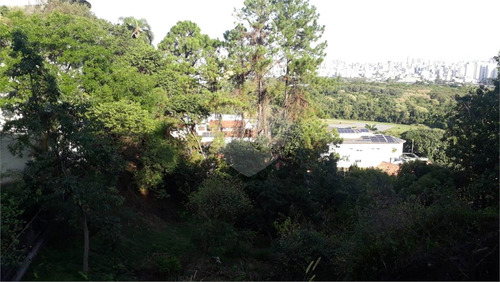 Imagem 13 de 30 de Terreno No Jardim São Bento Com 890 Metros Com Linda Vista Panorâmica Pronto Para Construir!!!! - Reo499490