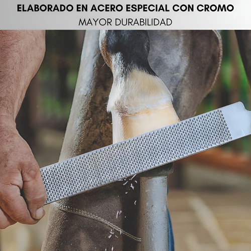 Lima Escofina Herrar Con Espiga Bellota 14 Pulgadas Lima Pezuñas Telotenemos