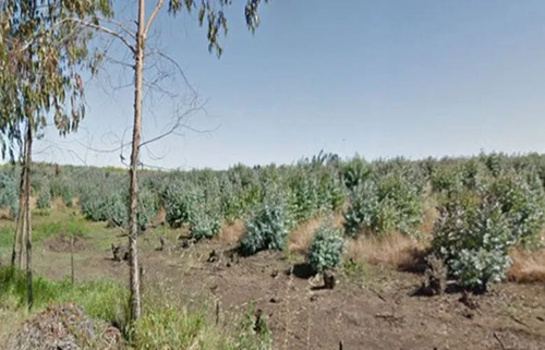 Industrial En Venta En San Antonio