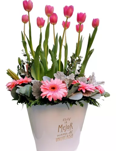 Arreglo Flores Naturales - Tulipanes Y Gerberas - Color Rosa | Meses sin  intereses