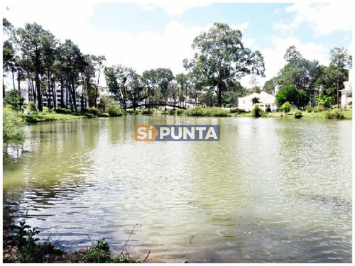 Imagen 28 de 30 de Apartamento En Alquiler Anual