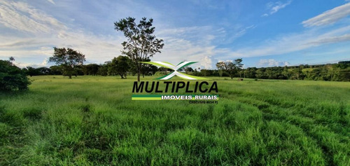 Imagem 14 de 15 de Fazenda Uberlândia Mg Para Pecuária Ou Soja, Milho 82,03 Hectares - 358