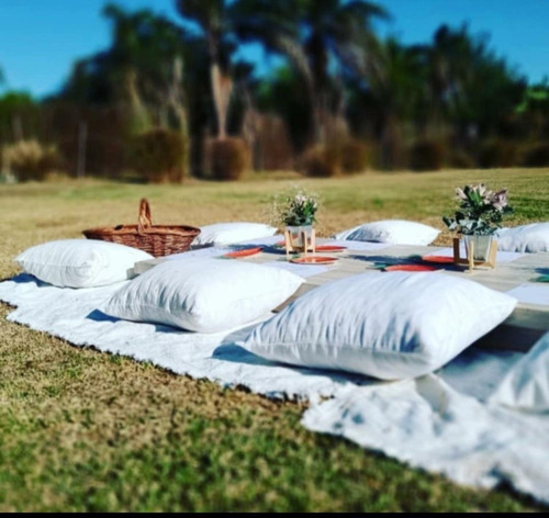 Imagen 10 de 10 de Alquiler Living Picnic Sillas Mesas Vajilla Copon Deco Mante
