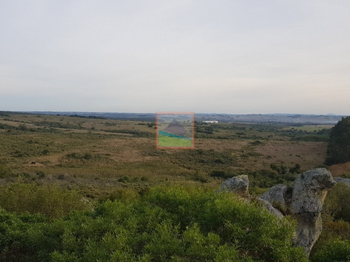 Imagen 13 de 14 de Chacra 10 Hás En Garzón