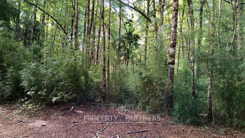 Lindo Terreno En Reserva Biológica Huilo Huilo