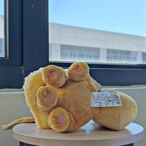 Muñeca De Peluche Eevee De 25 Cm Con Dibujos Animados De Pok