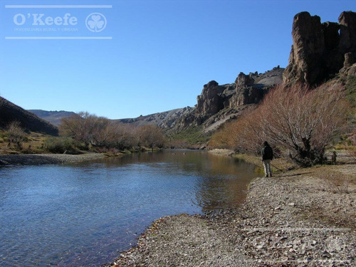 Campo En Venta De 635 Has Bariloche, Costa Del Pichileufu, Rio Negro.