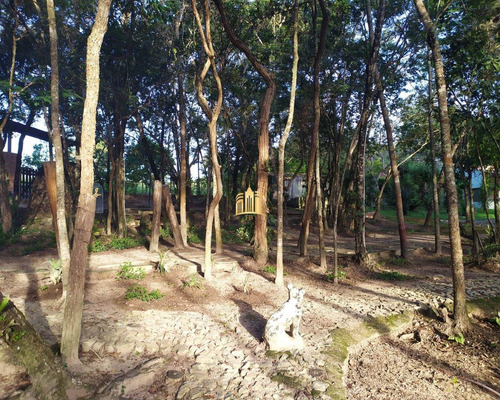 Imagem 30 de 30 de Sitio Em Boa Vista - Esmeraldas - St00068 - 34802218