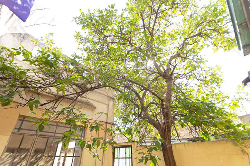Imagen 6 de 15 de Ph 3 Ambientes - Terraza Y Patio - Sin Expensas - Venta -