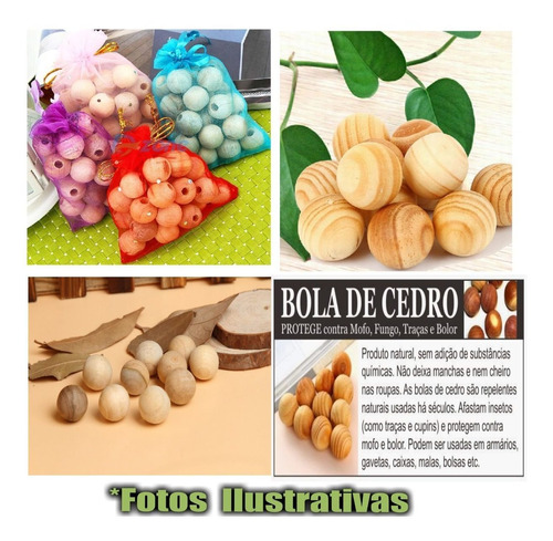 Featured image of post Mofos E Bolores Caracteristicas Mofos e bolores esp cies de fungos que tem como caracter stica principal decompor a mat ria org nica