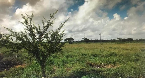Imagen 5 de 9 de Se Vende Finca En Curiepe, Maturin Ve02-1352cem-scor