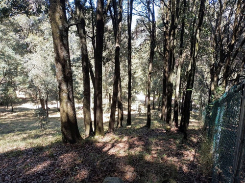 Terrenos Enclavados En El Bosque A 20mins De La Marquesa