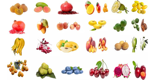 Paquete De 3 Frutales Diferentes Especies A Elegir Enanos