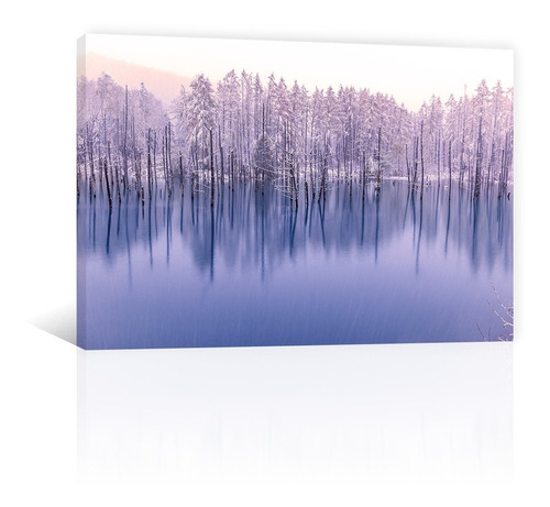 Cuadro Decorativo Canvas Naturaleza Lago De Hielo