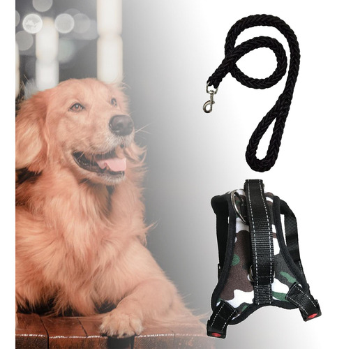 Arnés Para Perros Y Correa Para Perros Collar Ajustable M
