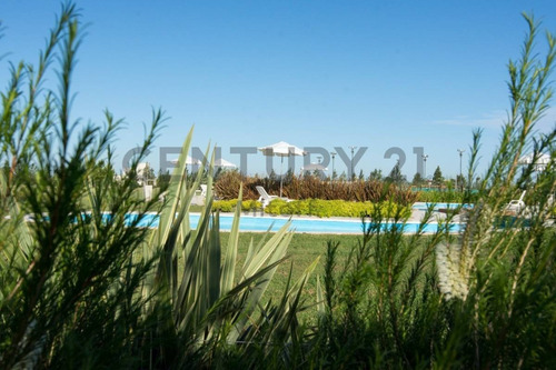 Imagen 18 de 26 de Lote De 2.366m2 Campos De Roca 2