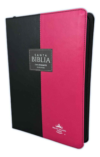 Biblia Rvr60 Lgi/pjr Negro/fucsia