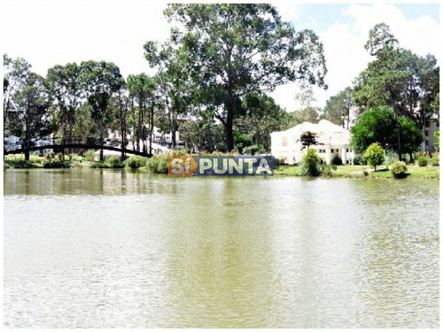 Imagen 4 de 30 de Apartamento En Alquiler Anual